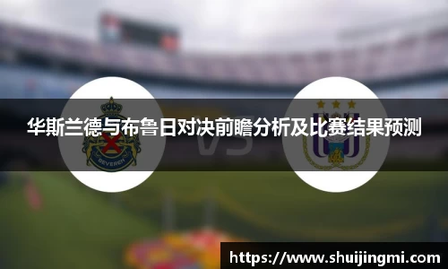 华斯兰德与布鲁日对决前瞻分析及比赛结果预测