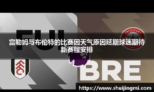 富勒姆与布伦特的比赛因天气原因延期球迷期待新赛程安排